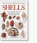 Stock image for Shells (DK Handbooks) for sale by GoldBooks