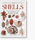 9781564580320: Shells (Eyewitness Handbooks)