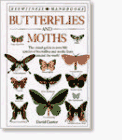 Beispielbild fr Butterflies and Moths (Eyewitness Handbooks) zum Verkauf von BooksRun