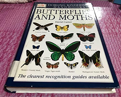 Beispielbild fr Butterflies and Moths. Eyewitness Handbooks zum Verkauf von Gil's Book Loft