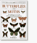 9781564580627: Butterflies & Moths
