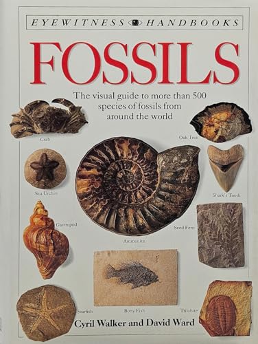 Beispielbild fr Fossils (DK Handbooks) zum Verkauf von Wonder Book