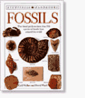 Beispielbild fr Fossils zum Verkauf von Better World Books