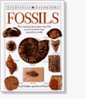 Imagen de archivo de Fossils a la venta por Better World Books