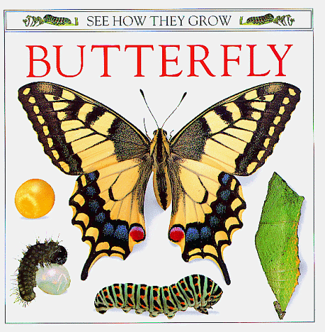 Beispielbild fr Butterfly See How They Grow zum Verkauf von SecondSale