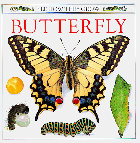 Imagen de archivo de Butterfly (See How They Grow) a la venta por Wonder Book