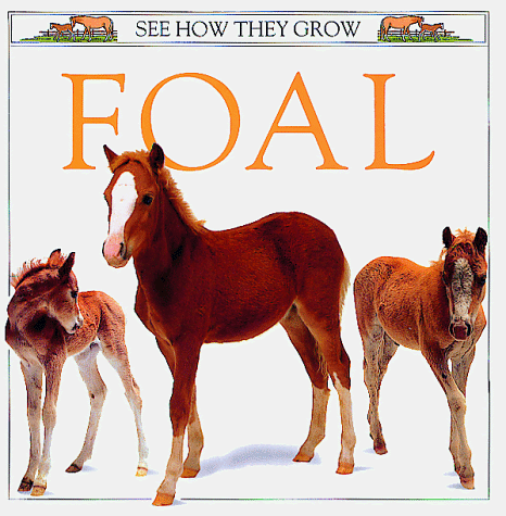 Beispielbild fr Foal (See How They Grow) zum Verkauf von SecondSale