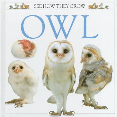 Imagen de stock para Owl (See How They Grow)