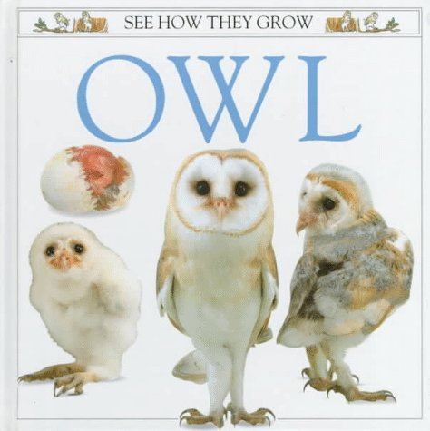 Owl (See How They Grow) (9781564581150) by Ling, Mary