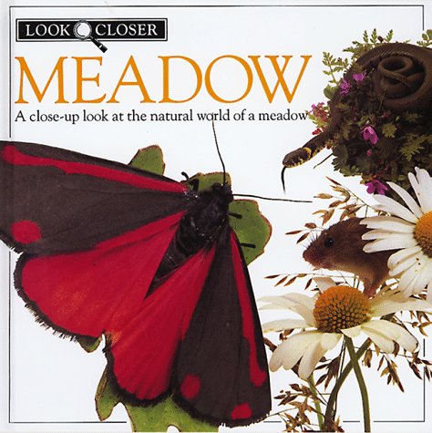 Stock image for Meadow for sale by ThriftBooks-Atlanta