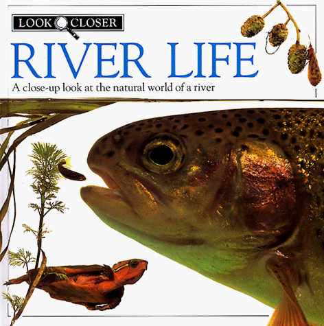 Imagen de archivo de River Life (Look Closer) a la venta por Wonder Book