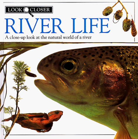 Stock image for River Life (Look Closer) for sale by Wonder Book