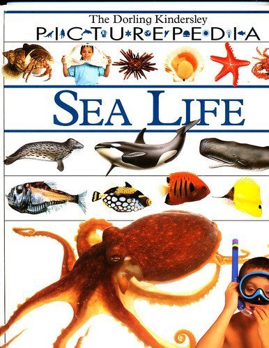 Sea Life (DK Picturepedia) (9781564581402) by Macgarvin, Malcolm