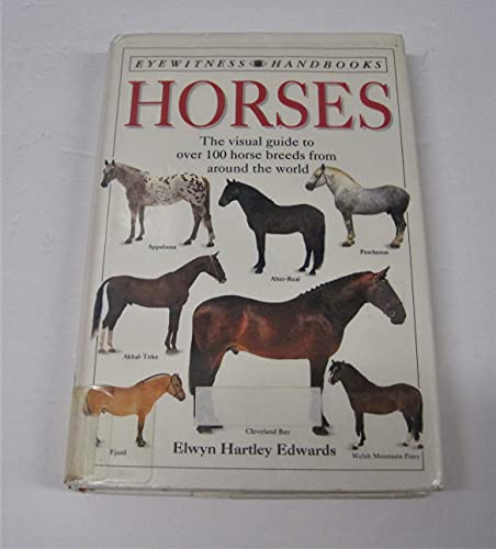 9781564581808: Horses