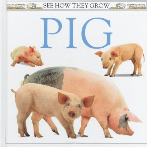 9781564582041: Pig (See How They Grow)