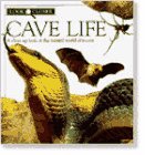 Beispielbild fr Cave Life zum Verkauf von Better World Books