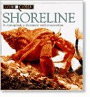 Imagen de archivo de Shoreline a la venta por Better World Books