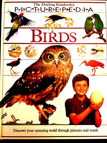 Imagen de archivo de Birds (DK Picturepedia) a la venta por Ergodebooks