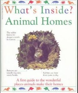 Stock image for Animal Homes for sale by Montclair Book Center