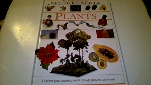 Beispielbild fr Plants (Picturepedia) zum Verkauf von -OnTimeBooks-