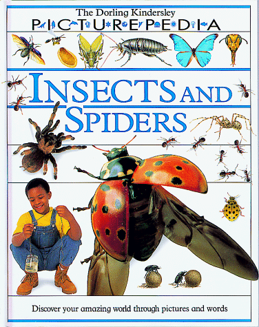 Imagen de archivo de Insects and Spiders a la venta por ThriftBooks-Dallas