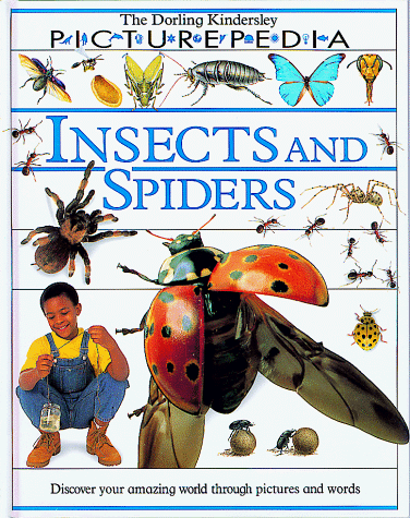 Stock image for Insects and Spiders (Picturepedia) for sale by Gulf Coast Books