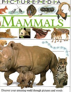 Stock image for Mammals (Picturepedia) for sale by Half Price Books Inc.