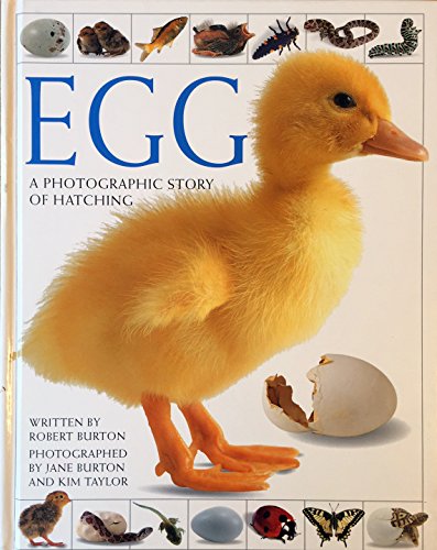 Immagine stock per Egg: A Photographic Story of Hatching