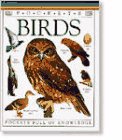 Imagen de archivo de BIRDS (POCKET GUIDES) pockets full of knowledge a la venta por WONDERFUL BOOKS BY MAIL