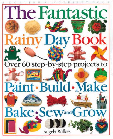 Beispielbild fr The Fantastic Rainy Day Book zum Verkauf von SecondSale