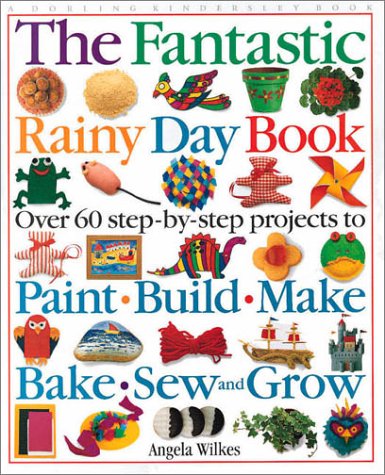 Imagen de archivo de The Fantastic Rainy Day Book a la venta por SecondSale