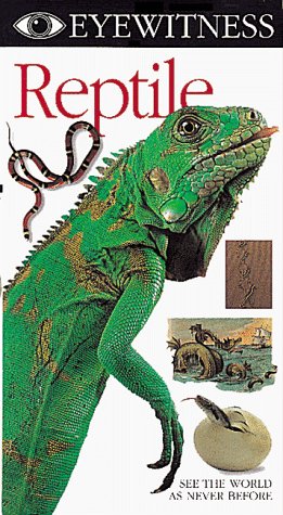 Stock image for Reptile, Eyewitness series for sale by Alf Books