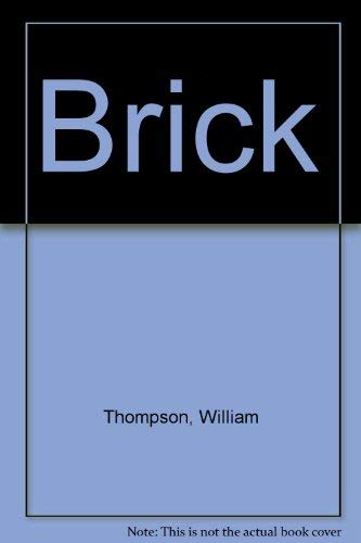 Brick: A Novel (9781564741424) by Thompson, William