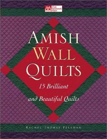 Stock image for Amish Wall Quilts: 15 Brilliant and Beautiful Quilts for sale by Gulf Coast Books