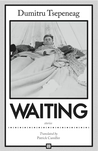 Stock image for Waiting: stories: Stories for sale by Open Books