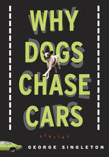 Imagen de archivo de Why Dogs Chase Cars: Tales of a Beleaguered Boyhood a la venta por Dream Books Co.