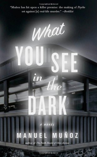 9781565125339: What You See in the Dark