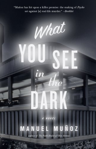 9781565125339: What You See In The Dark