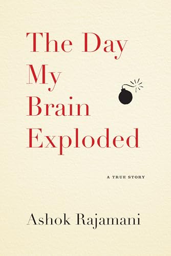 DAY MY BRAIN EXPLODED : A TRUE STORY