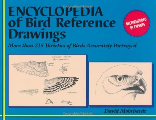 9781565230095: Encyclopedia of Bird Reference Drawings: More Than 215 Varieties of Birds Accurately Portrayed
