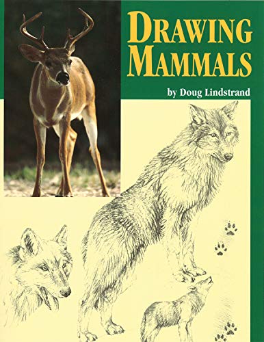 Stock image for Drawing Mammals for sale by ThriftBooks-Dallas