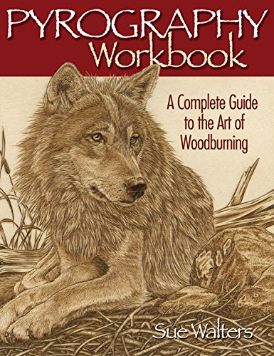 9781565232587: Pyrography Workbook: A Complete Guide to the Art of Woodburning
