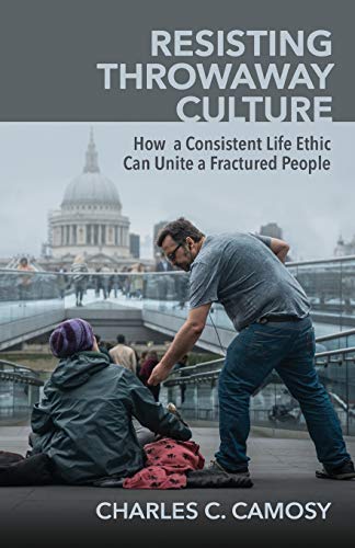 Beispielbild fr Resisting Throwaway Culture : How a Consistent Life Ethic Can Unite a Fractured People zum Verkauf von Better World Books