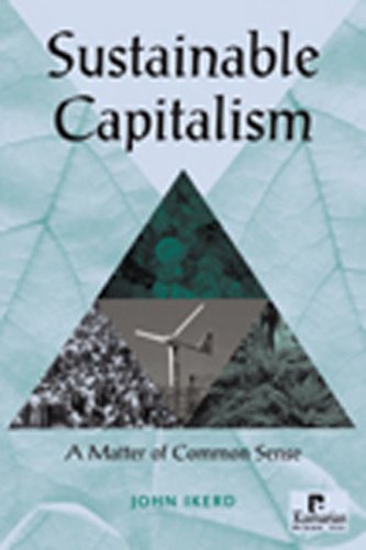 Stock image for Sustainable Capitalism: A Matter of Common Sense for sale by Front Cover Books