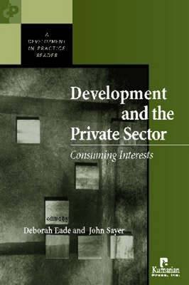 Stock image for Development and the Private Sector: Consuming Interests (Development in Practice) for sale by suffolkbooks