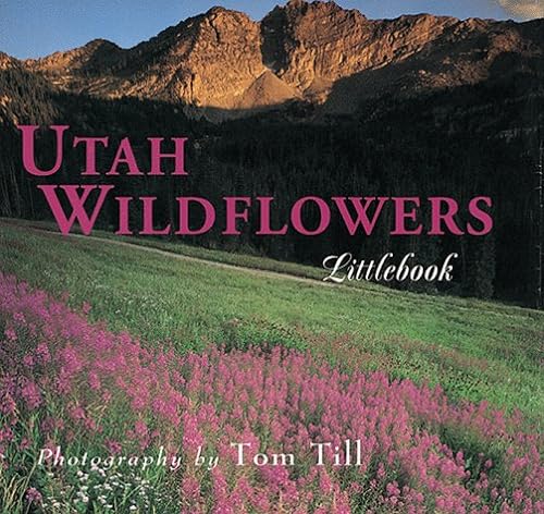 Imagen de archivo de Utah Wildflowers a la venta por Better World Books: West