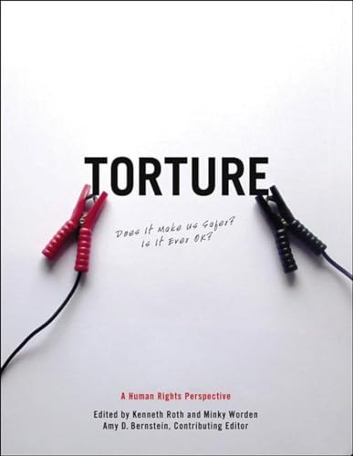 Torture: Does It Make Us safer  Is It Ever OK  A Human Rights Perspective