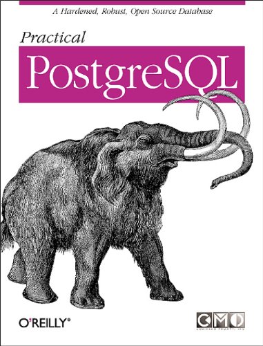 Stock image for Practical PostgreSQL for sale by Books of the Smoky Mountains