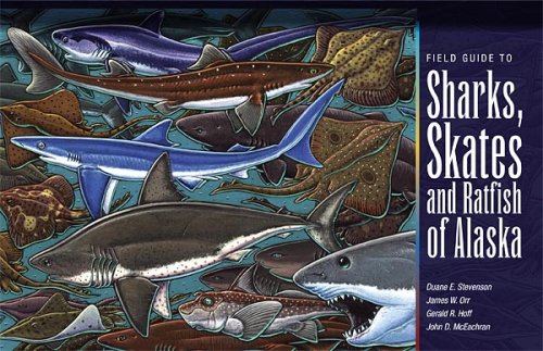 Beispielbild fr Field Guide to Sharks, Skates, and Ratfish of Alaska zum Verkauf von HPB-Emerald