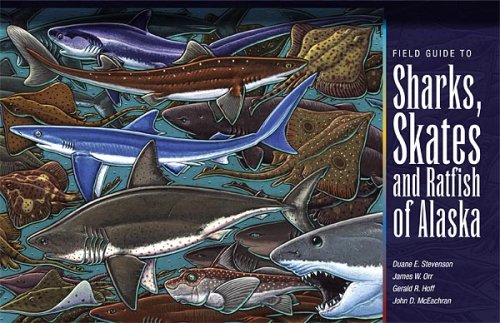 9781566121132: Field Guide to Sharks, Skates, and Ratfish of Alaska